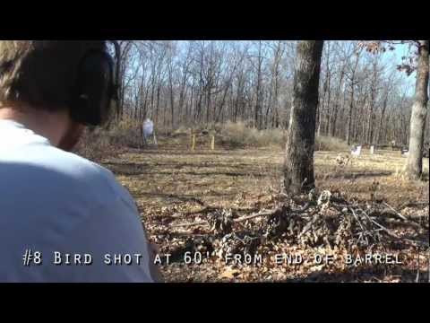 Birdshot vs Leather Jackets