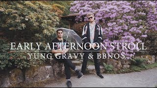 Early Afternoon Stroll Music Video