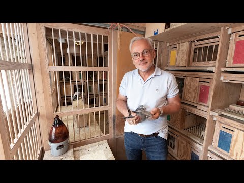 National winners ZLU 2021: Narbonne, Michael Schmell, Hückelhoven (Germany)