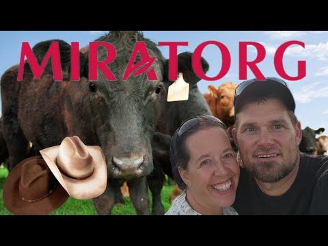 Visit Russia's largest Agricultural company/ Russian Feedlot/ Beef Production in Russia/Miratorg