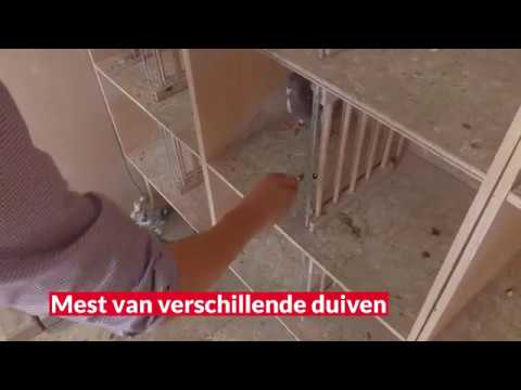 Video Hoe neem ik een correct meststaal? Grootschalig mestonderzoek