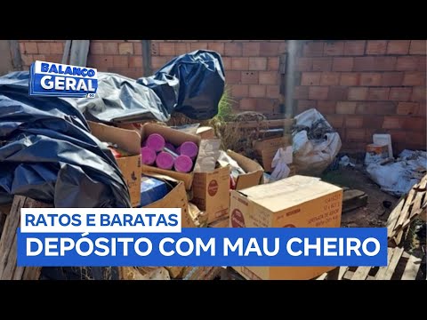 Depósito ilegal de alimentos é autuado por condições insalubres em Rio Verde (GO)