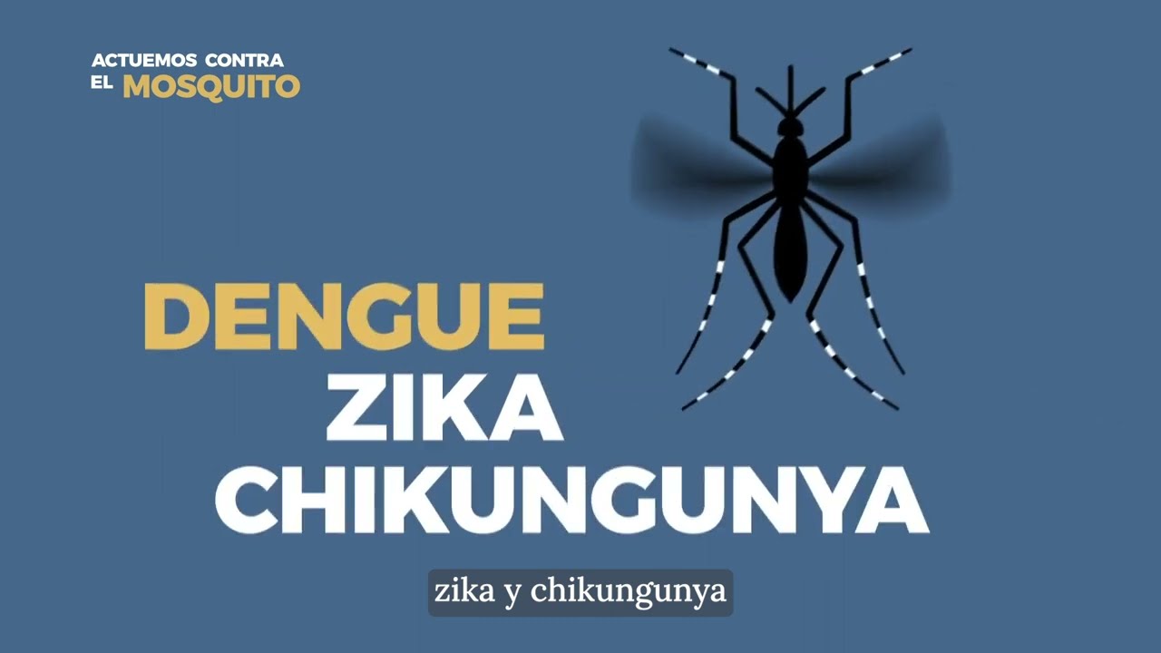 youtube video id=6zj5NQ5k2NE