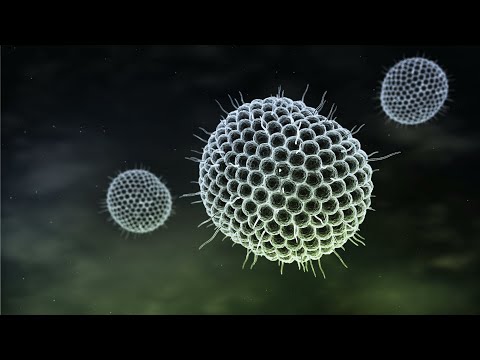 Ein Ende der anhaltenden Schmerzen? Sprechstunde: Gürtelrose