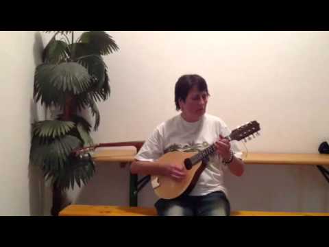 Amarinei Mioara mandolina - Sanduleni tel 0760981533