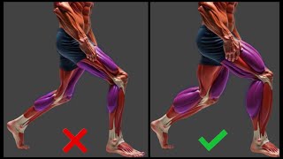 Download lagu 6 Latihan Kaki Ampuh π₯ untuk Membangun Otot di Rumah | Ramah Pemula !! mp3 Download lagu 6 Latihan Kaki Ampuh π₯ untuk Membangun Otot di Rumah | Ramah Pemula !! mp3