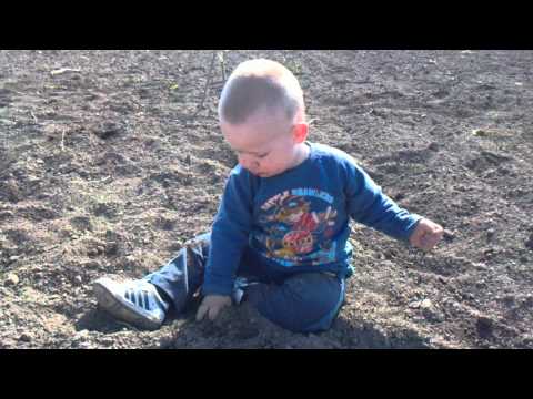 GREBENIS  DAVID DOBRAU