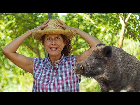 A CACCIA del CINGHIALE di NOTTE. Mi ha distrutto l'orto😰