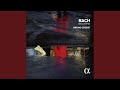 Cello Suite No. 6 in D Major, BWV 1012: V. Gavottes I & II
