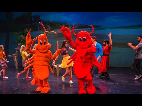 XANAZOO - Mazoo And The Zoo (Καβάλα)