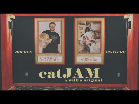 willro - catJAM (a paymoneywubby song)