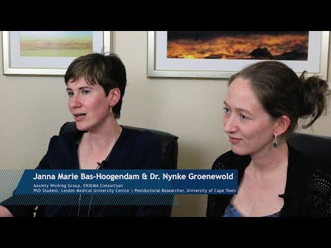 Neuroimaging in Anxiety Disorder: Discussing ENIGMAtters with ENIGMA-Anxiety, Part 2