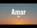 Bibi - Amar | Versuri | Official Video