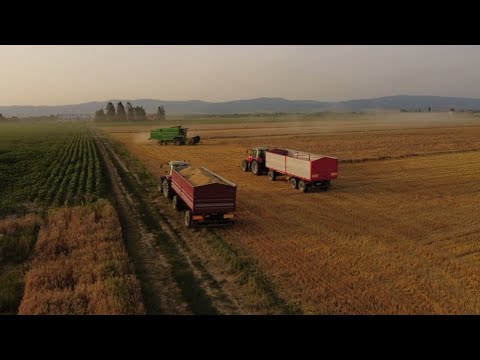 4K UHD Harvest 2023: Deutz Fahr Topliner 4075 HTS and Deutz Fahr 2580