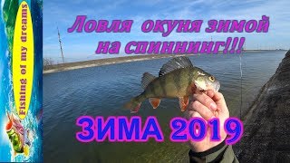 Рыбалка на магистральном приазовском канале лунного окуня