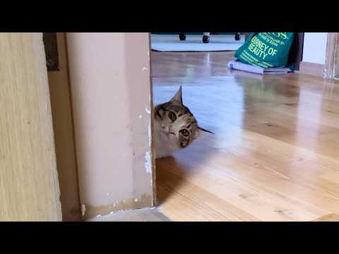 Image 11274