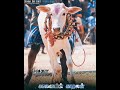 Ilamai Athu Pona Athu Thirumpaathu Jallikattu Whatsapp Status Tamil HD
