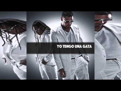 Zion y Lennox Feat Daddy Yankee, Plan B, Arcangel y mas - Yo tengo una Gata