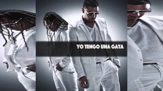 Zion y Lennox Feat Daddy Yankee, Plan B, Arcangel y mas - Yo tengo una Gata