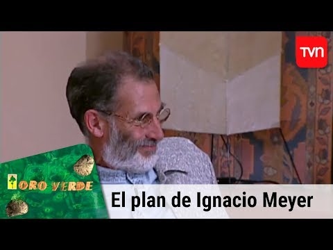 El plan de Ignacio Meyer | Oro verde - T1E2