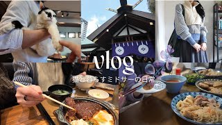 vlog_開運目指してパワースポット巡る🌸久しぶりの猫カフェ｜おうちごはんと最近読んだ本📚