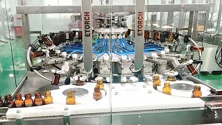 Middle East Pharmaceutical Project Completed | ETORCH Filling Line