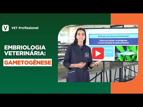 Embriologia Veterinária: Gametogênese