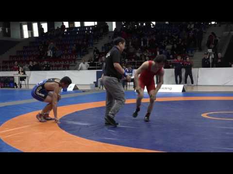 AWF CUP 2017 / 54 kg gold medal match cadets freestyle