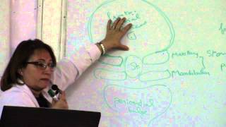 2-[Special embryology] Dr.Hanan 22/2/2016 (Development of the face)