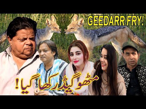 Geedarr Fry ǁ New Pothwari Drama ǁ Shehzada Ghaffar ǁ Mithu Rishwat Khor ǁ Pothwari Funny Video 2025