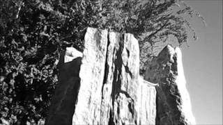 Visiting The Veteran's Garden on Veteran's Day