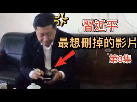 習近平最想刪掉的畫面 第3集, 史上被惡搞最慘的中國領導人 ---網路「辱包文化」全網最詳細梳理和普法分析。