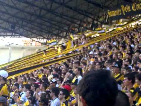 Os Tigres - Criciúma 2x3 Joinville - Vamos Tigre.