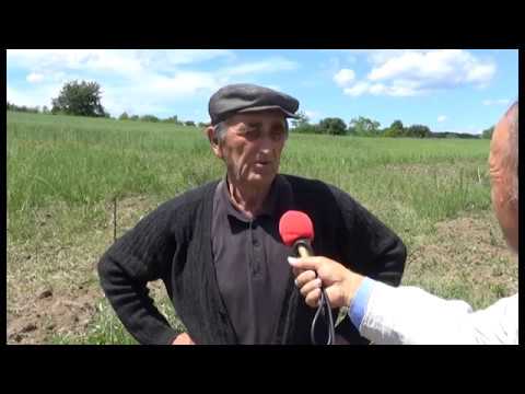 hronika Rekovac 18 05 2018