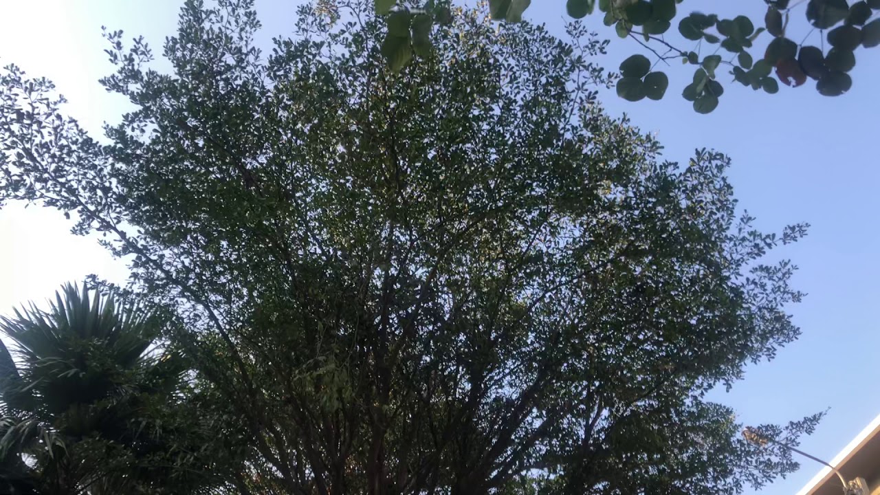 POV:You are an ant and you are witnessing the birth of pro skaters