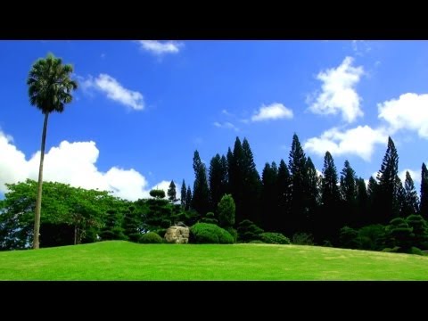 Relaxing Music + Over 100 Exotic Landscapes Nature Sounds - Relax TV, 3 Hours!