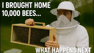 UNBOXING BEES! 🐝🌻New Beekeeper Meets Bees for the First Time!