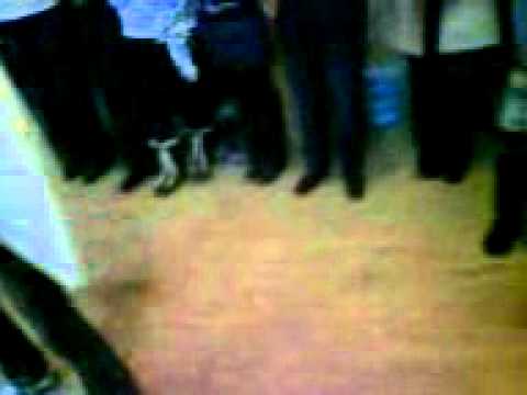 Capra Scoala Glavanesti