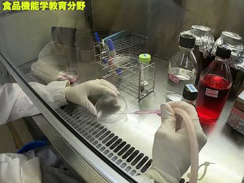 愛媛大学農学部生命機能学科健康機能栄養科学特別コース紹介