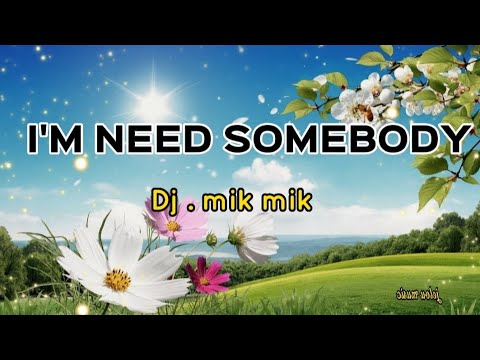DJ. MIK MIK-I'M NEED SOMEBODY with lyrics
