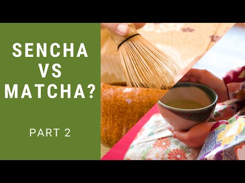 The Difference Between Matcha & Sencha Japanese Green Tea Part 2 | 6 WAYS THAT THESE VARY