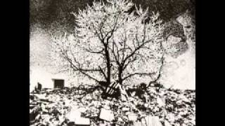 The Bevis Frond - Blurred Vision