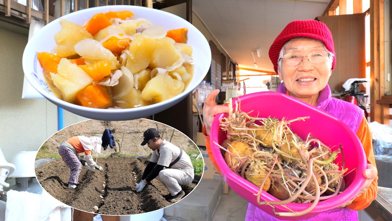 【知恵袋】芽が出たジャガイモ、捨てずに使う82歳のリアル。