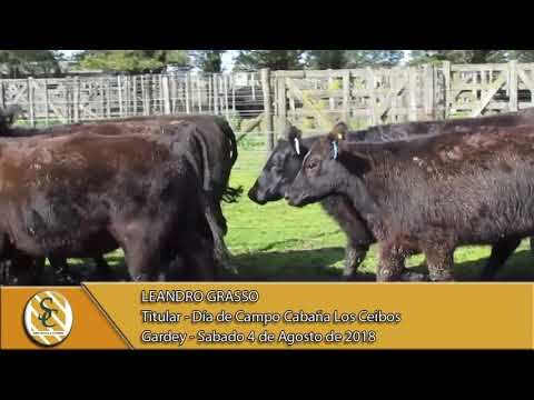 04-08-18 Nota Leandro Grasso - Titular - Día de Campo Cabaña Los Ceibos - Gardey
