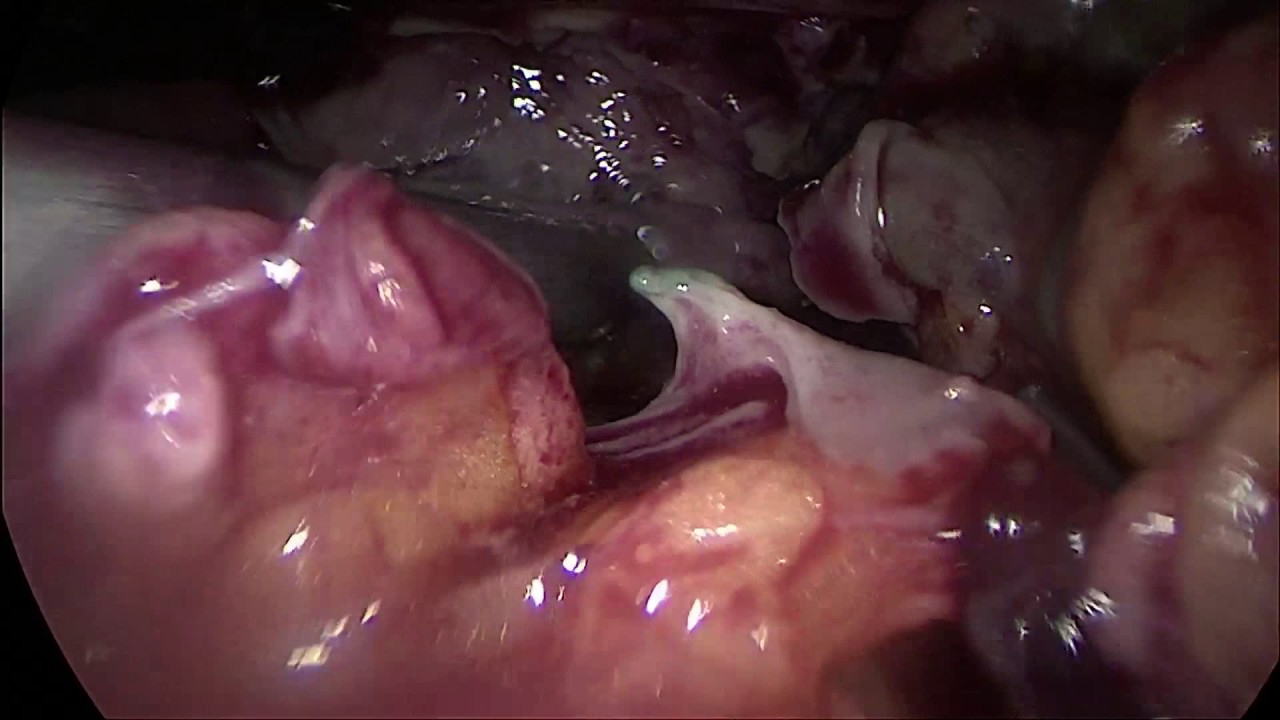 M. Ferhat Ferhatoğlu-7