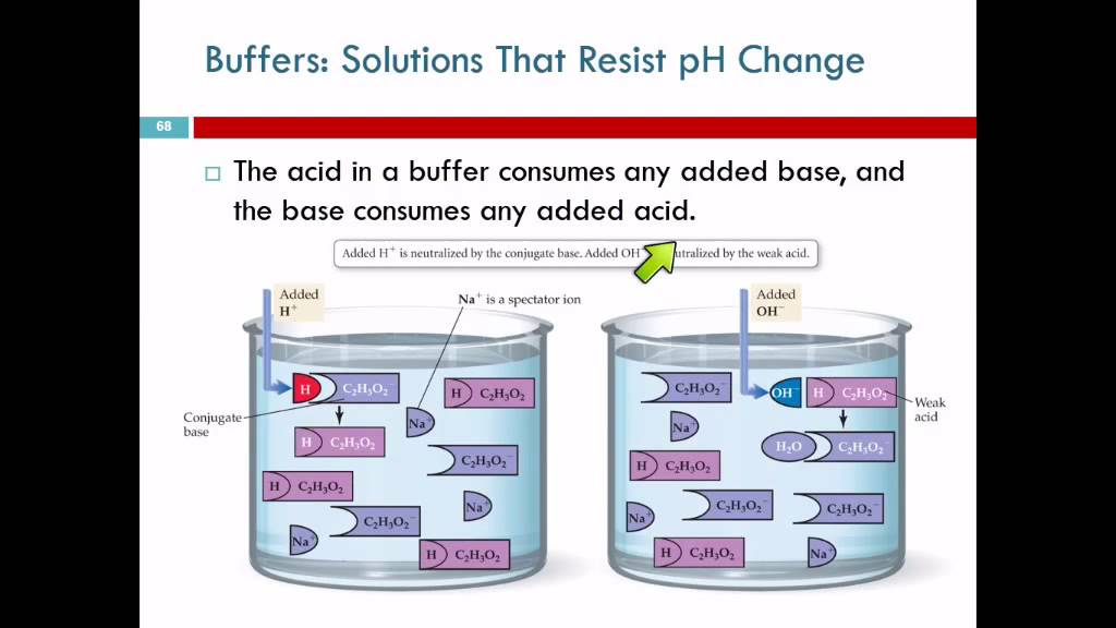 14.10 Buffers: Solutions that Resist pH Change