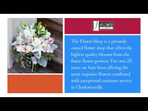 Videos from The Flower Shop