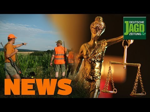 Bewährungsstrafe nach Jagdunfall, Trichinenfund Oberhavel, Wald mit Wild u.w. - DJZ-News 31/2019