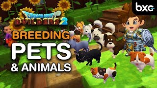 Breeding Guide for Pets and Animals | Dragon Quest Builders 2