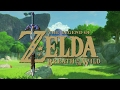 Breath Of The Wild Retrospective